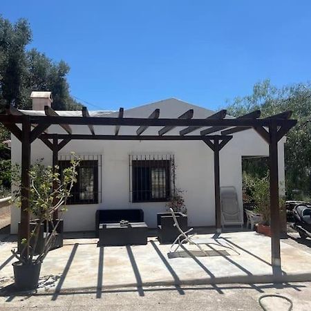 Farmhouse Surrounded By Centenary Olive Trees Olias Bagian luar foto